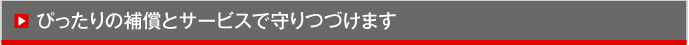 ぴったりの補償とサービスで守りつづけます